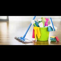 Addetta alle pulizie