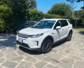 LAND ROVER Discovery Sport - 2021