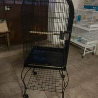 Voliera per uccelli e pappagalli