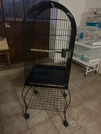 Voliera per uccelli e pappagalli