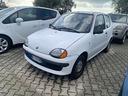 fiat-seicento-900i-cat-young