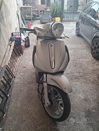 Beverly 500