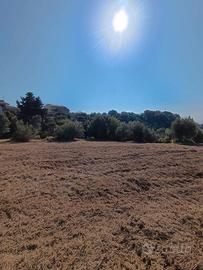 TERRENO AGRICOLO Via Sicilia