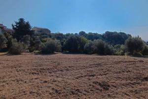 TERRENO AGRICOLO Via Sicilia