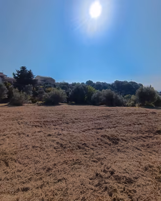 TERRENO AGRICOLO Via Sicilia