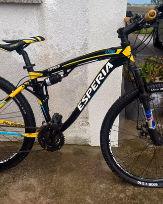 Bicicletta