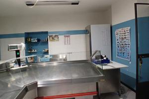 CESSIONE ATTIVITA’ Pescheria a Sant’Angelo in Vado