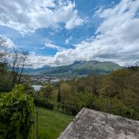 Terreno coltivato parzialmente a vigna