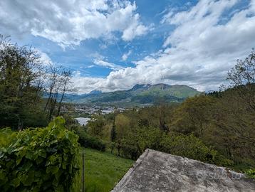 Terreno coltivato parzialmente a vigna