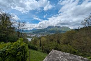 Terreno coltivato parzialmente a vigna