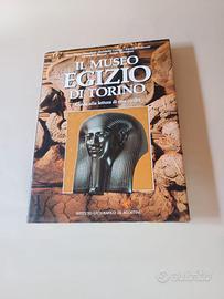 IL MUSEO EGIZIO di TORINO e L'ARTE MILITARE EGIZIA