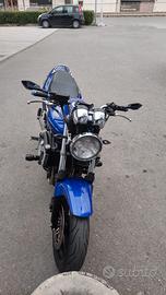 Honda hornet