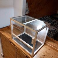 Teca terrario rettili gechi insetti