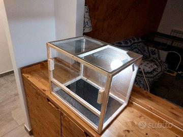 Teca terrario rettili gechi insetti