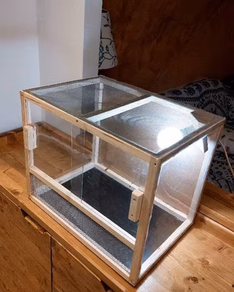 Teca terrario rettili gechi insetti