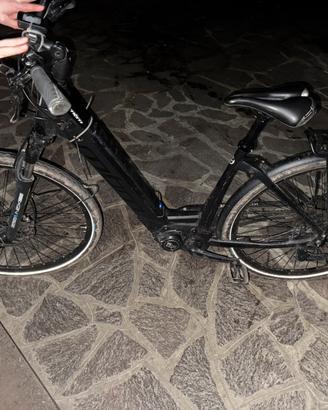 Bici elettrica