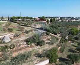 Terreno - Bitonto