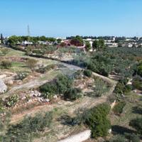 Terreno - Bitonto