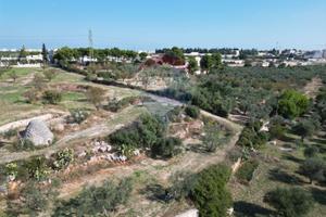 Terreno - Bitonto
