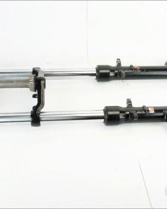 forcella con piastre Honda CBX 750 F-II RC 17