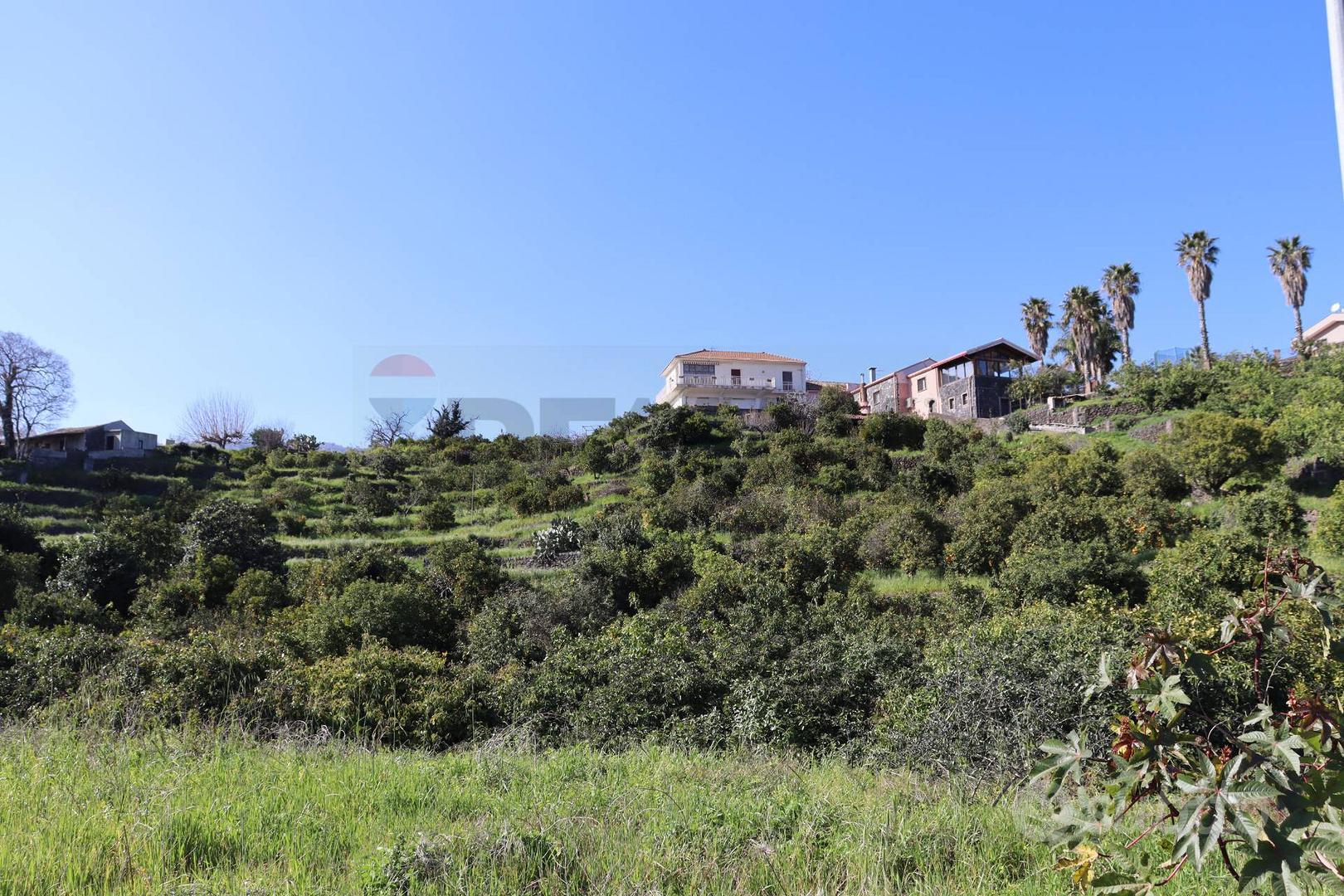 Terreno - Mascali - View 3