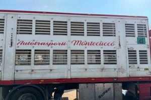 Cassa trasporto animali vivi Cifa due piani