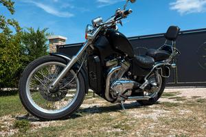 Suzuki intruder