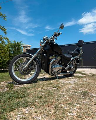 Suzuki intruder