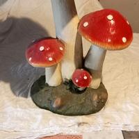 fungo da giardino