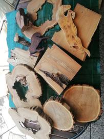 Dischi di legno robinia