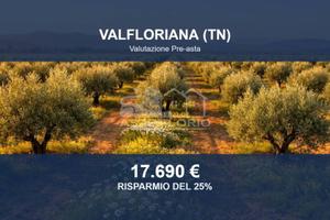 Immobile in asta di 65668 m² a Valfloriana