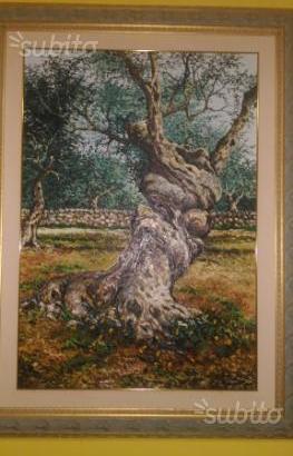 Quadro olio su tela