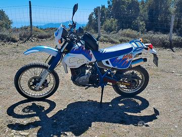 suzuki dr650