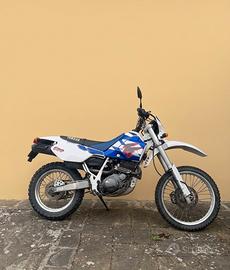 YAMAHA TTE600 Belgarda FMI