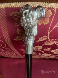 Bastone /Yorkshire - da passeggio