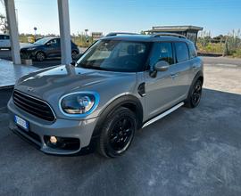 MINI Mini Countryman F60 - 2018