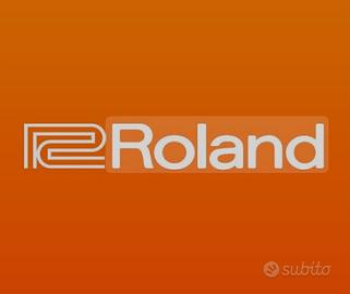 Roland Stili per Arranger