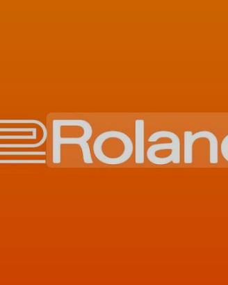 Roland Stili per Arranger