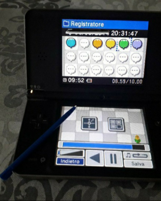 Nintendo ds xl + pennino + alimentatore - CONSOLE