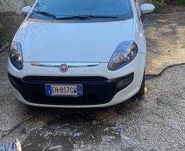 Fiat punto evo