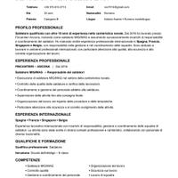 Saldatore MIG/MAG-RESPONSABILLE 