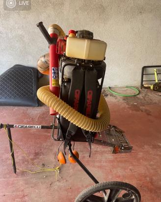 Cifarelli v77 aspiratore per nocciole ed olive