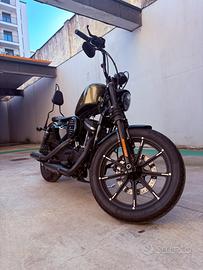 Harley Davidson 883 iron