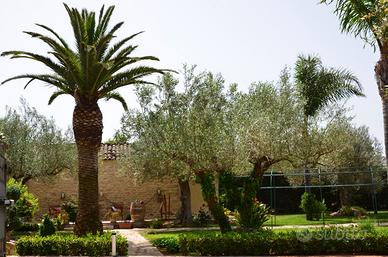 Villa esclusiva con piscina a 15 min dal mare