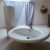 lavandino Catalano nuovo 