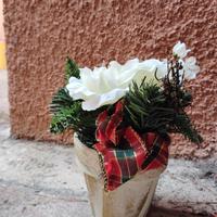 decorazione natalizia 