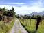 Immagine 11