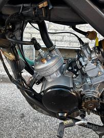 FANTIC XM 50 performance