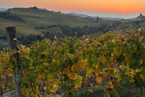 Terreno agricolo (vigneto) moscato DOCG