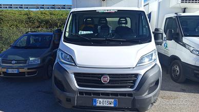 Fiat Ducato Isotermico